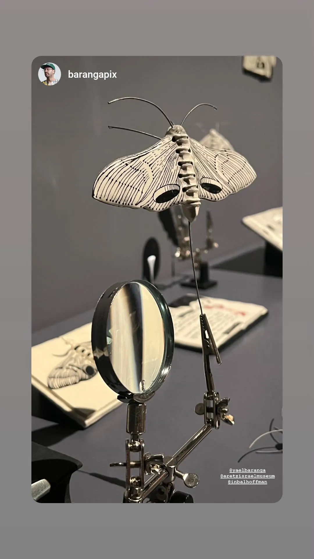 Ceramic work by Inbal Hoffman 14
